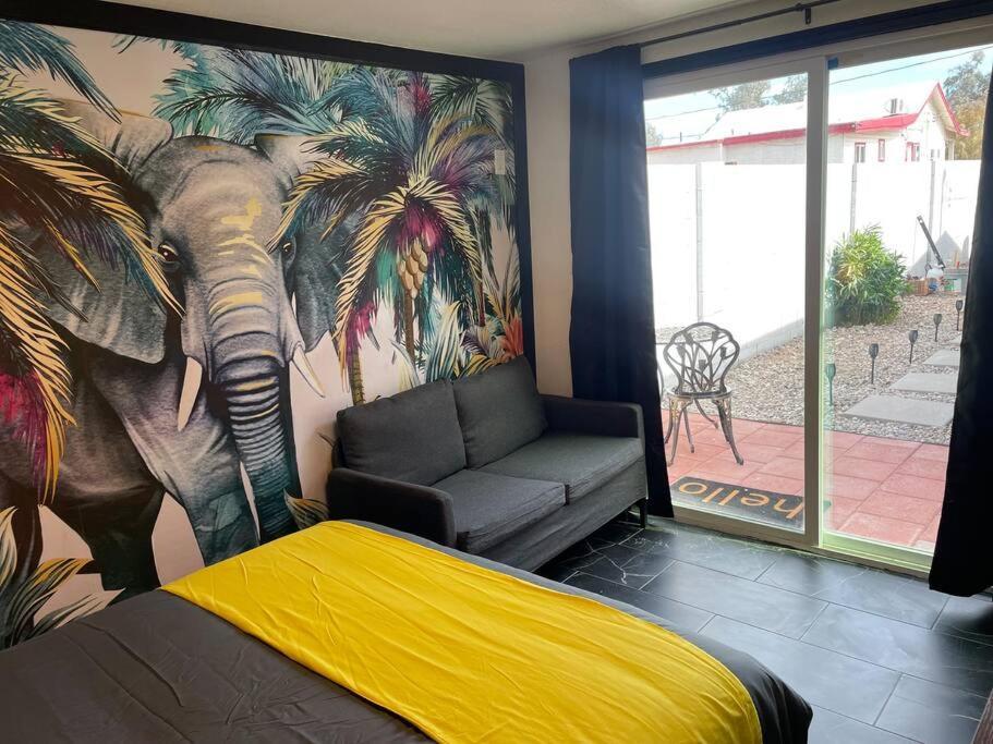 Your Tiny Downtown Home With Backyard Unit D フェニックス エクステリア 写真